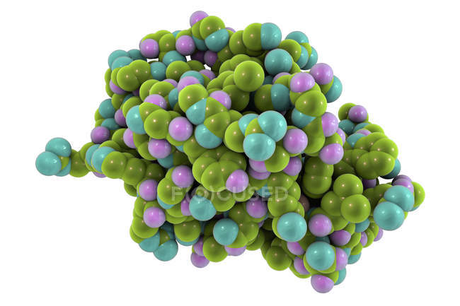 Structure moléculaire du lysozyme, illustration numérique
. — Photo de stock