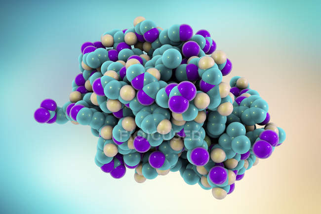 Молекулярная структура лизозима, цифровая иллюстрация . — стоковое фото