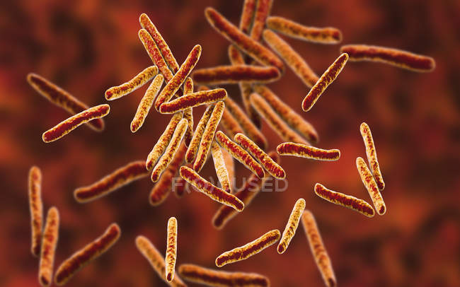 Ilustración digital de bacterias grampositivas de Mycobacterium tuberculosis en forma de barra . - foto de stock
