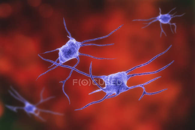 Цифровий ілюстрація нервові клітини нейрони. — стокове фото