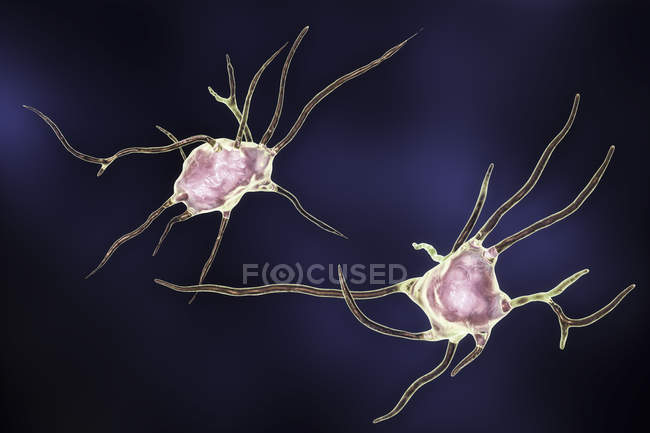 Ilustración digital de neuronas nerviosas células
. - foto de stock