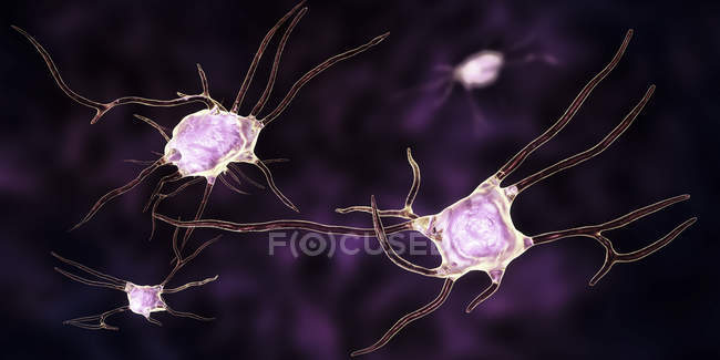 Ilustración digital de neuronas nerviosas células
. - foto de stock