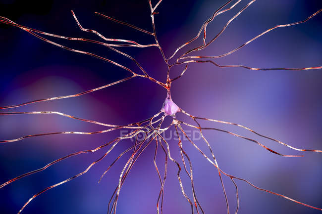 Digital illustration of nerve neuron cell. — Stock Photo