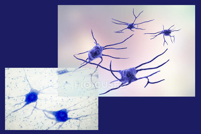 Ilustração digital das células dos neurônios nervosos . — Fotografia de Stock