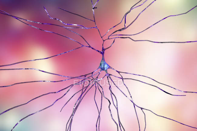 Illustration numérique de la cellule neuronale nerveuse
. — Photo de stock