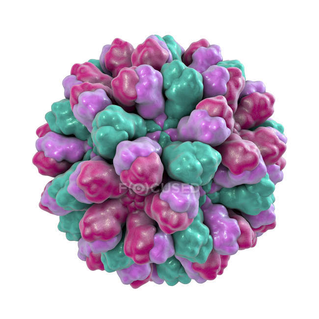 Digitale Illustration der Norovirus-Gattung des Rna-Virus, Nahaufnahme. — Stockfoto