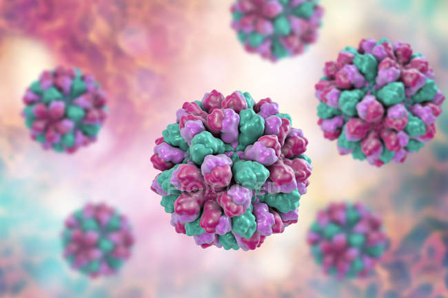 Digitale Illustration der Norovirus-Gattung des Rna-Virus. — Stockfoto