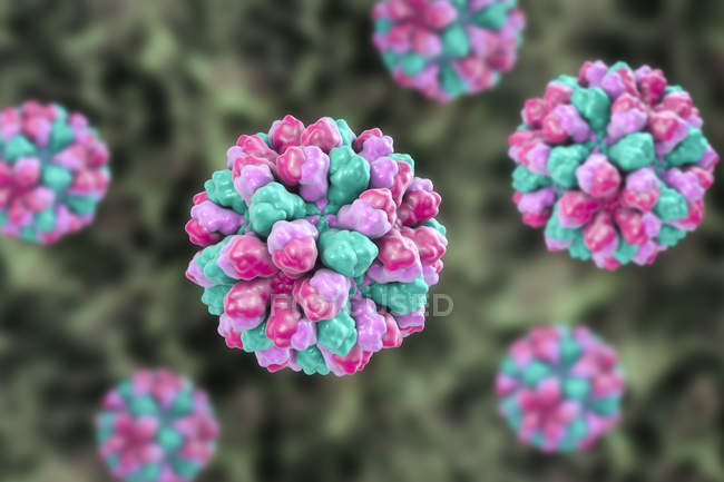 Illustration numérique du genre Norovirus du virus de l'ARN
. — Photo de stock