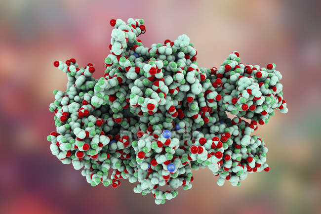 Цифровая иллюстрация белка коэффициента свертываемости . — стоковое фото