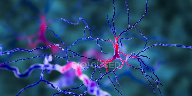 Dopaminergic neuron brain cells, digital illustration. — Stock Photo
