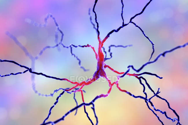 Cellules cérébrales neuronales dopaminergiques, illustration numérique . — Photo de stock