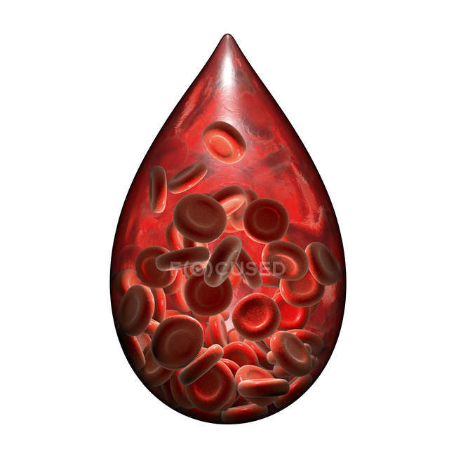 Gotita de sangre que contiene células, ilustración conceptual de la hemofilia
. - foto de stock