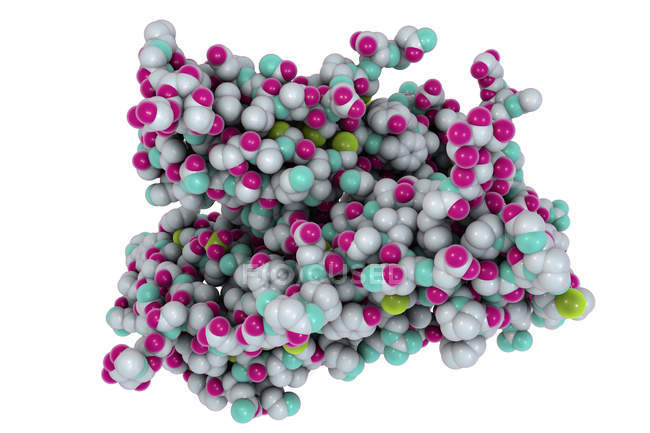 Modèle moléculaire de l'hormone folliculo-stimulante
. — Photo de stock
