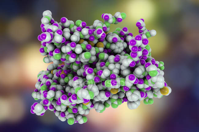 Молекулярная модель фолликулостимулирующего гормона . — стоковое фото
