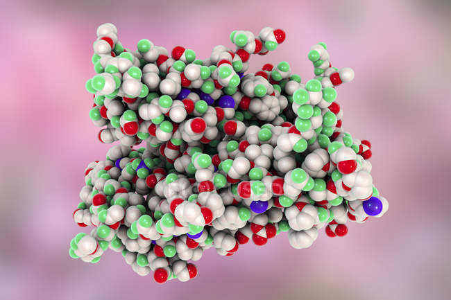 Molekulares Modell follikelstimulierender Hormone. — Stockfoto