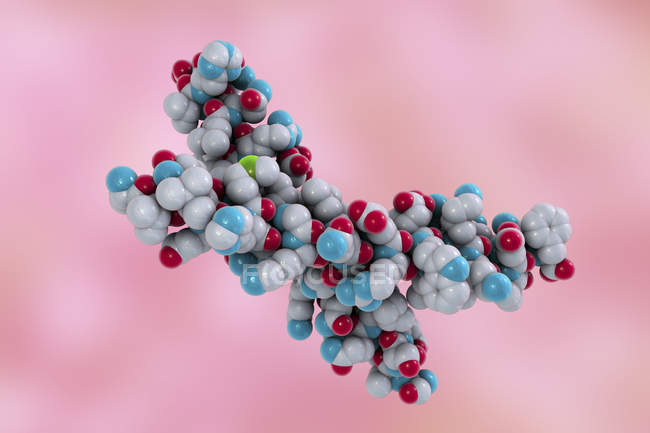 Modèle moléculaire de la structure de l'hormone parathyroïde
. — Photo de stock
