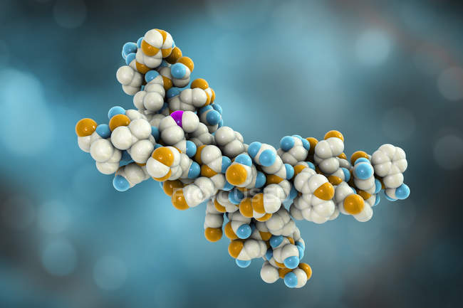 Молекулярна модель структури паращитоподібних гормонів . — стокове фото