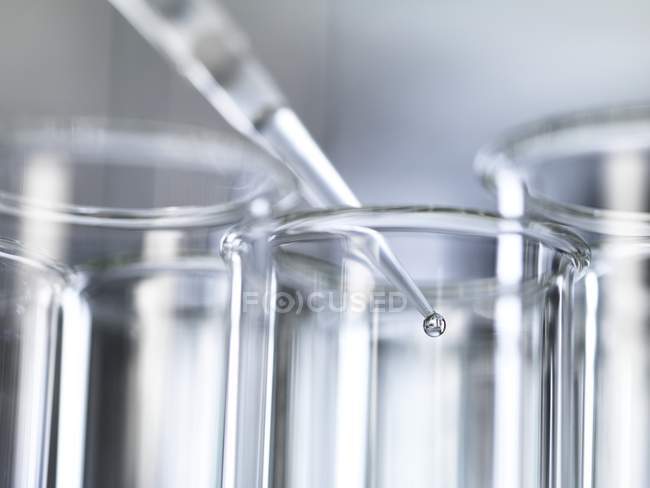 Pipette legt Probe während Experiment im Labor in Reagenzglas. — Stockfoto