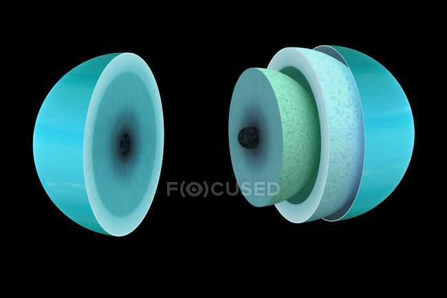 Diagrama del interior teórico del planeta gigante de hielo Urano
. - foto de stock