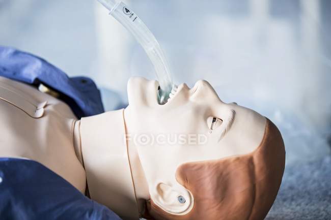 Maniquí de entrenamiento de intubación con tubo . - foto de stock