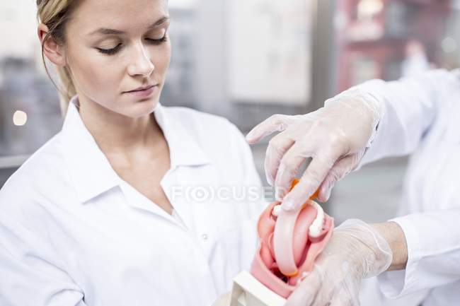 Professeur de médecine démontrant l'intubation trachéale en utilisant le modèle de démonstration . — Photo de stock