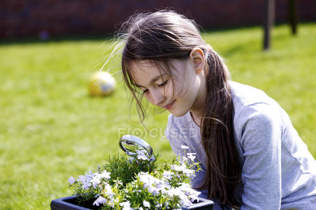 Preadolescent girl examining flowers with magnifying glass. — Stock Photo