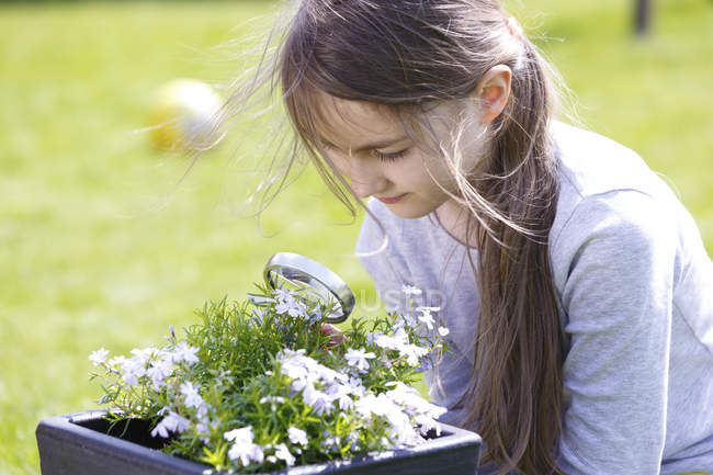 Підліткова дівчина вивчає квіти зі збільшувальним склом . — стокове фото