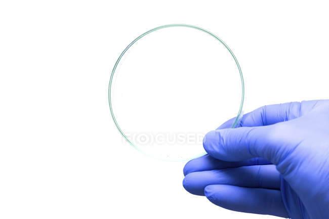 Gloved hand of scientist holding empty Petri dish. — Stock Photo