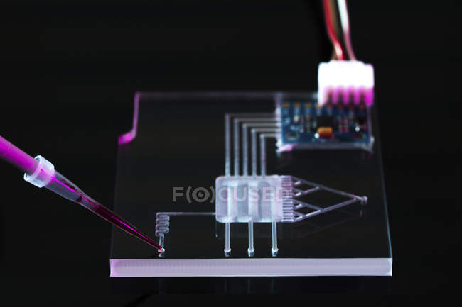 Primer plano del dispositivo de circuito integrado de laboratorio en un chip sobre fondo negro
. - foto de stock