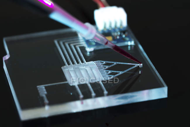 Крупный план лабораторно-чипового интегрального устройства на черном фоне
. — стоковое фото