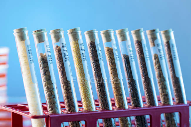 Rack of food samples in test tubes. — Stock Photo