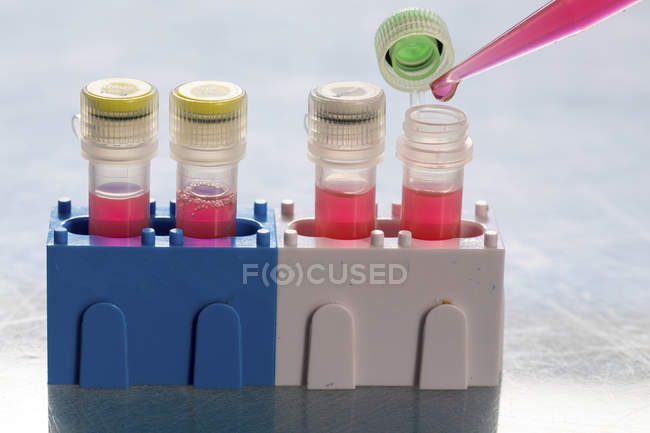 Primer plano de pipeteo en tubos de ensayo en laboratorio patógeno . - foto de stock