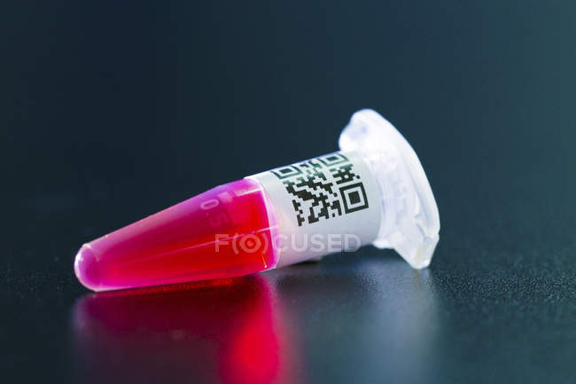 Nahaufnahme der Probe auf roter Flüssigkeit in Zentrifugenröhre. — Stockfoto