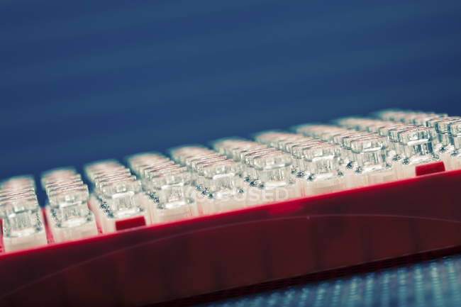 Leere und sterile Ampullen in roter Plastikbox. — Stockfoto