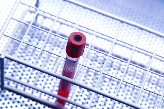 Einzelnes Reagenzglas mit Blutprobe im Rack. — Stockfoto