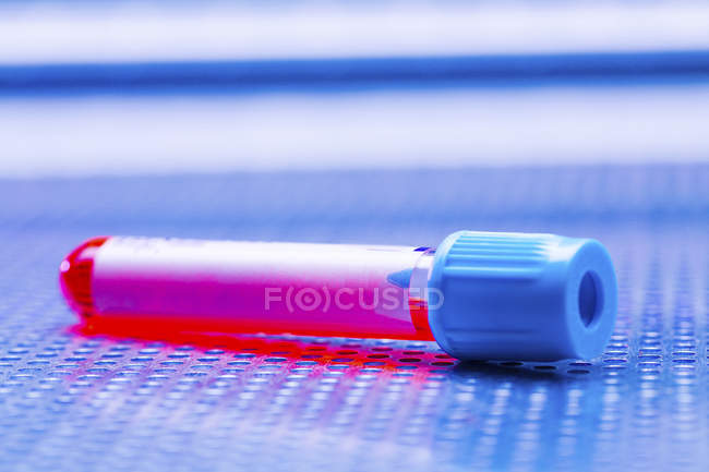 Einzelnes Reagenzglas mit Blutprobe. — Stockfoto