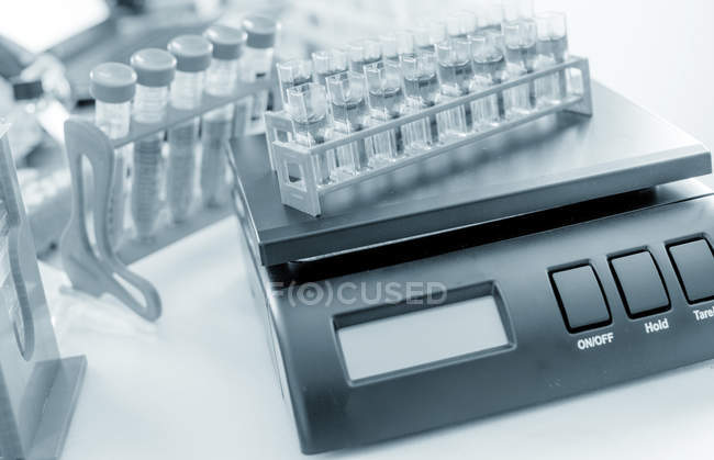 Культуры стволовых клеток на взвешенных в лаборатории
. — стоковое фото