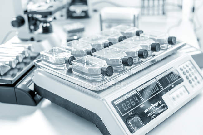 Культури стовбурових клітин на зважених в лабораторії . — стокове фото