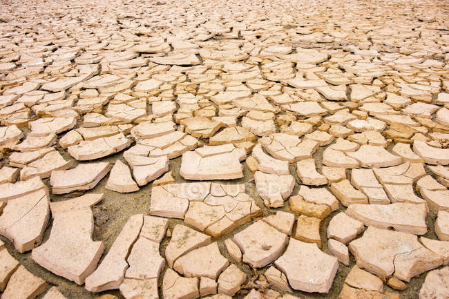 Patrón natural de suelo seco del desierto, marco completo . - foto de stock