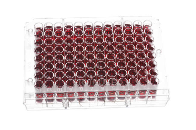 Multiwell plate with biological samples on white background. — Stock Photo