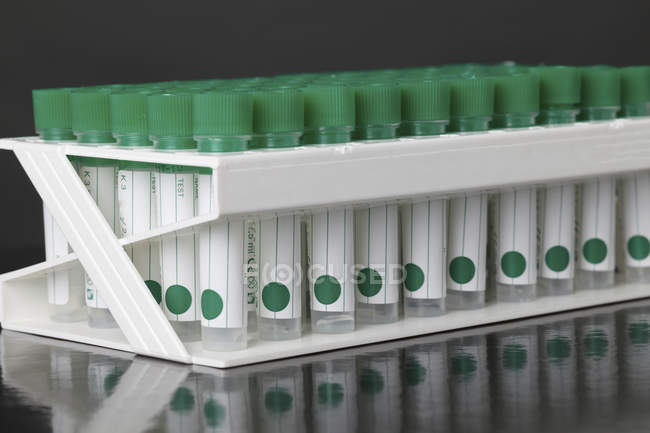 Tubes à essai en plastique avec couvercles verts dans le rack . — Photo de stock