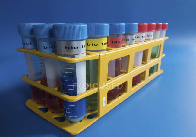 Tubes for biological test in rack on blue background. — Stock Photo