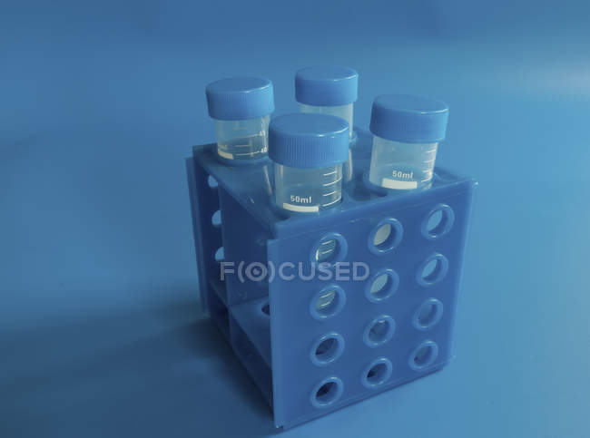 Röhrchen für biologische Tests im Rack auf blauem Hintergrund. — Stockfoto