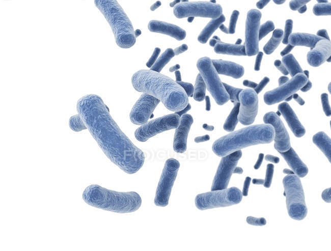 Blaue stäbchenförmige Bakterien auf weißem Hintergrund, digitale Illustration. — Stockfoto