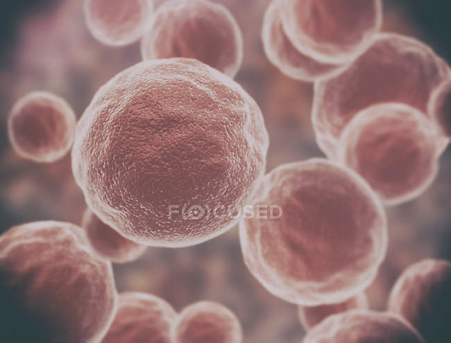 Red cancer cells, digital illustration. — Stock Photo