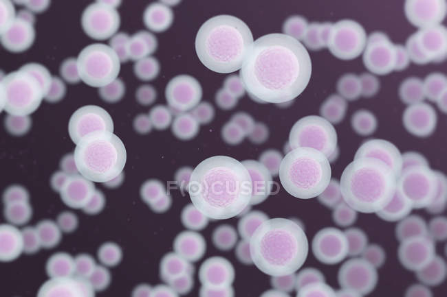 Cellules transparentes sur fond violet, illustration numérique . — Photo de stock