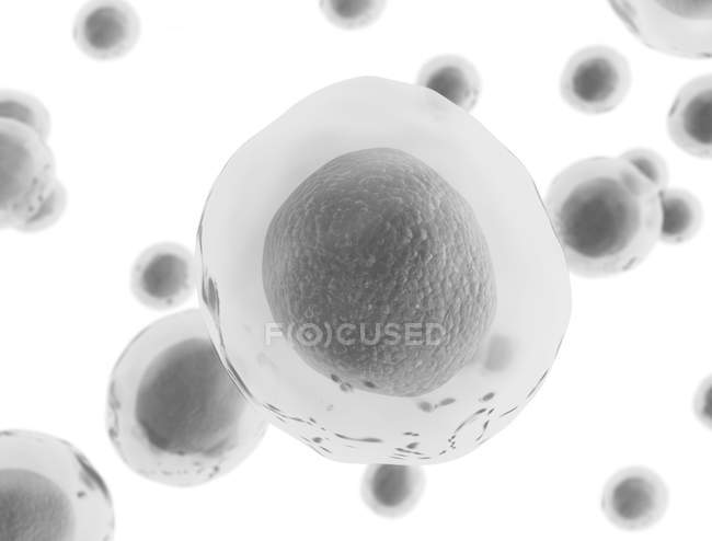 Transparent cells on white background, digital illustration. — Stock Photo