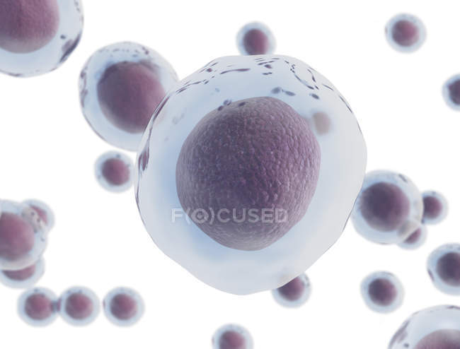 Transparente Zellen auf weißem Hintergrund, digitale Illustration. — Stockfoto