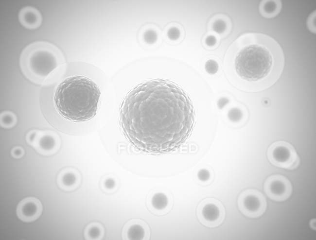 Cellules transparentes sur fond gris, illustration numérique
. — Photo de stock