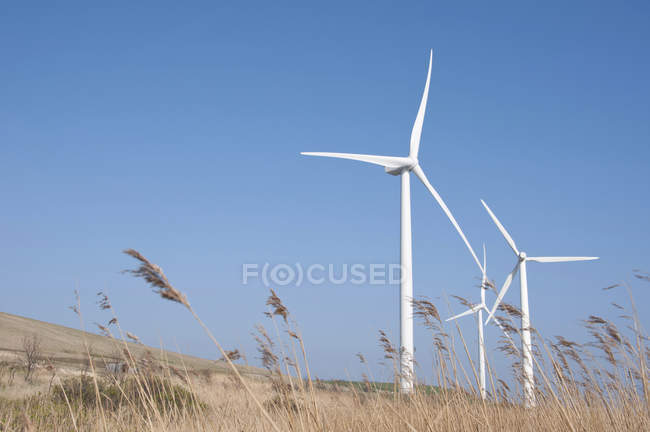 Turbinas eólicas en el campo de Esbjerg, Dinamarca
. - foto de stock